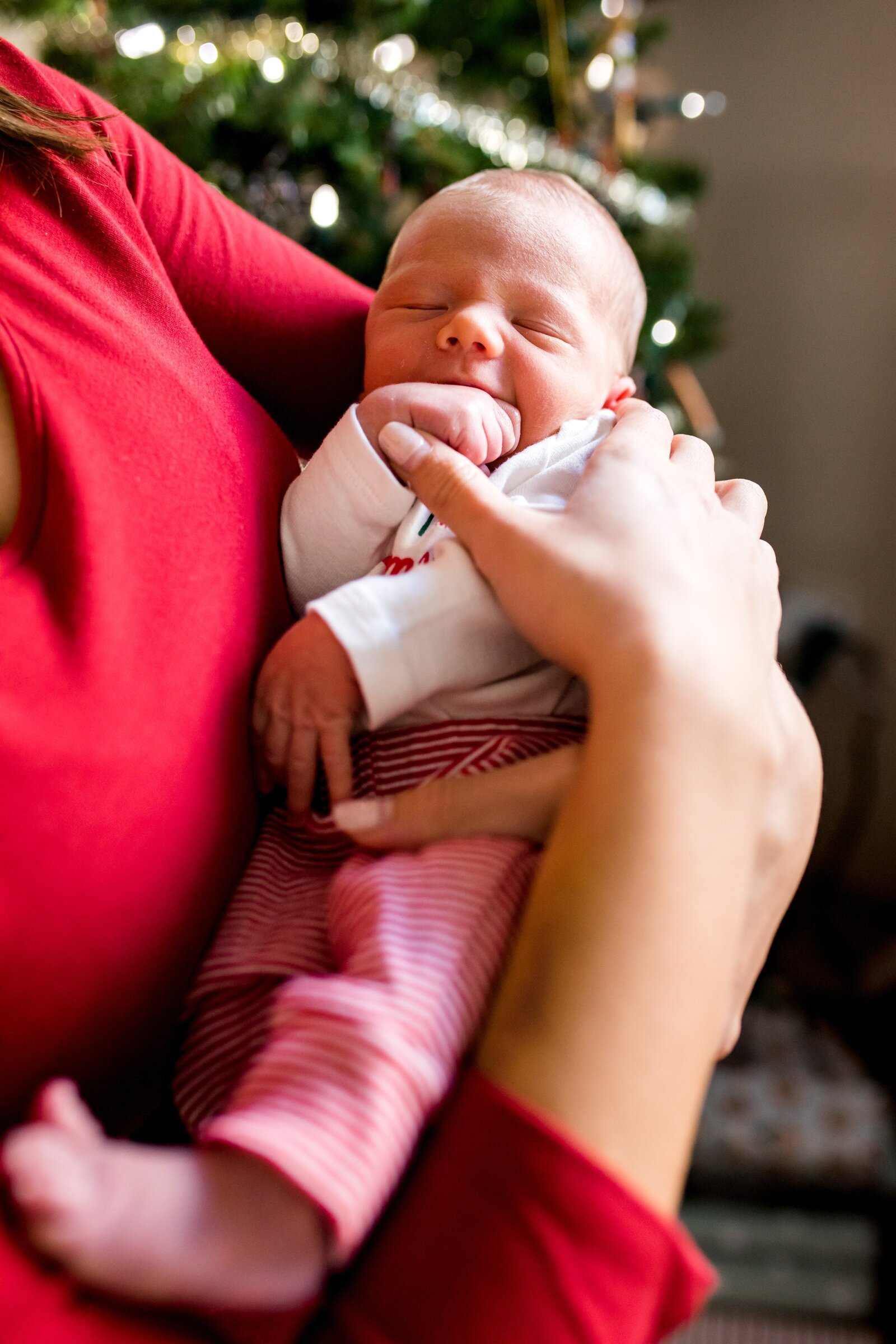 Newborn baby in mom's arm in front of Christmas tree.