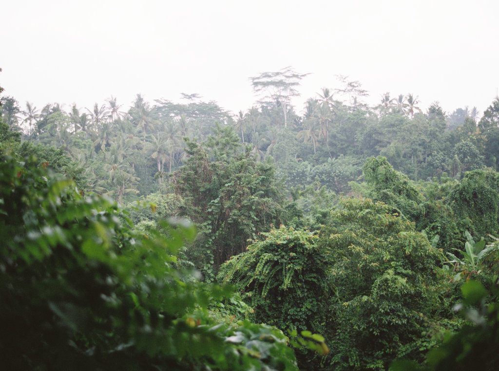 bali0013-Melissa+ReiWedding