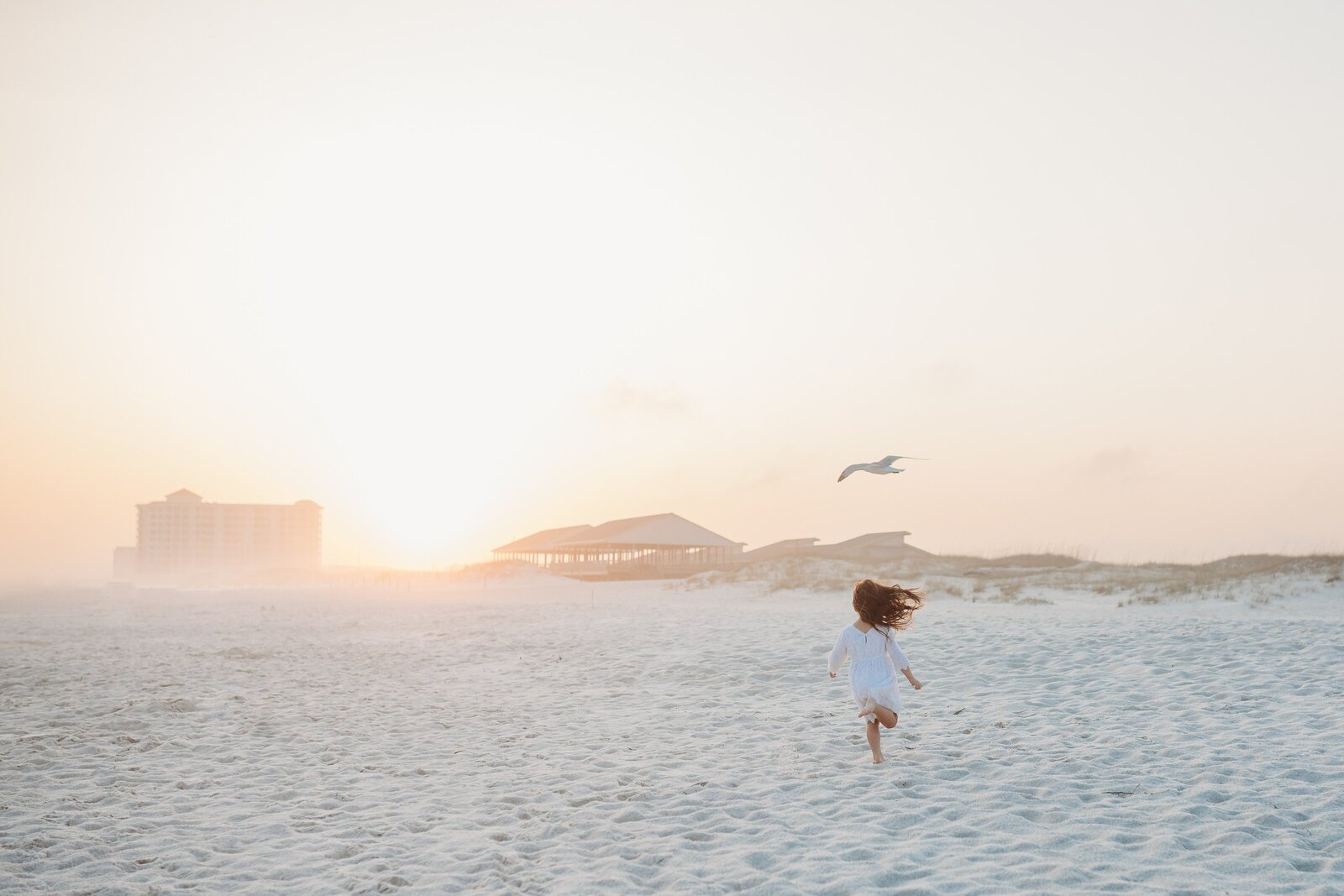 Pensacola Beach Family Photography. LIttle girl chasing a seagull down the beach at sunset.