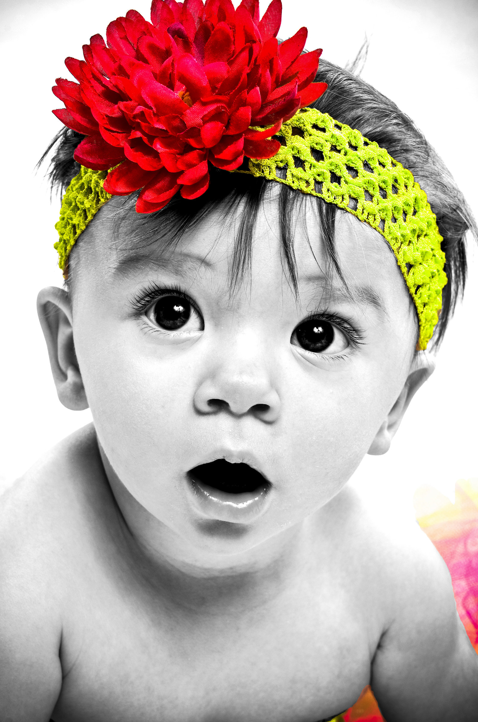 Brylee McAngus 12 color splash
