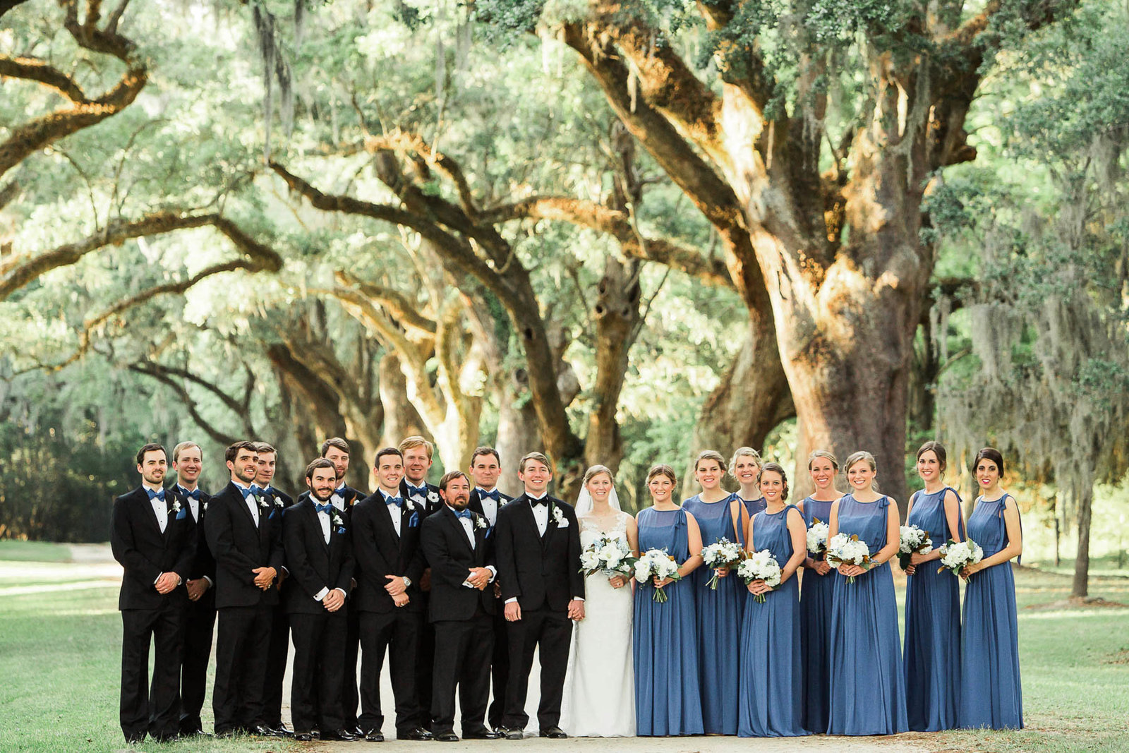 Wedding party stands at avenue of oaks, Oakland Plantation, Mt Pleasant, South Carolina