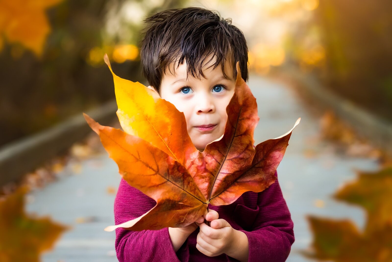 Boy posing with an autumn leaf in San Diego