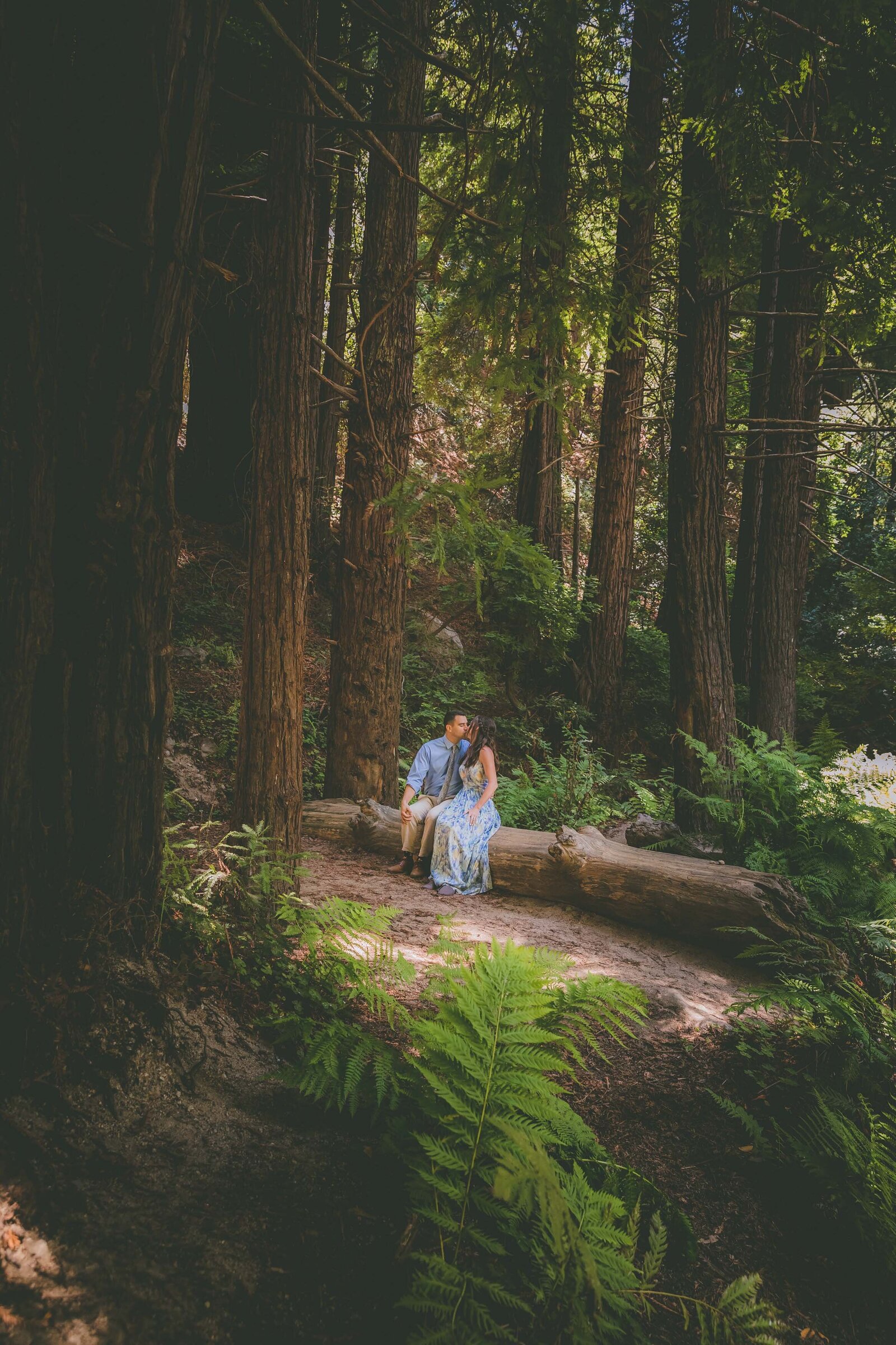 A couple kisses on a log as they are surrounded by redwood trees in Big Sur.