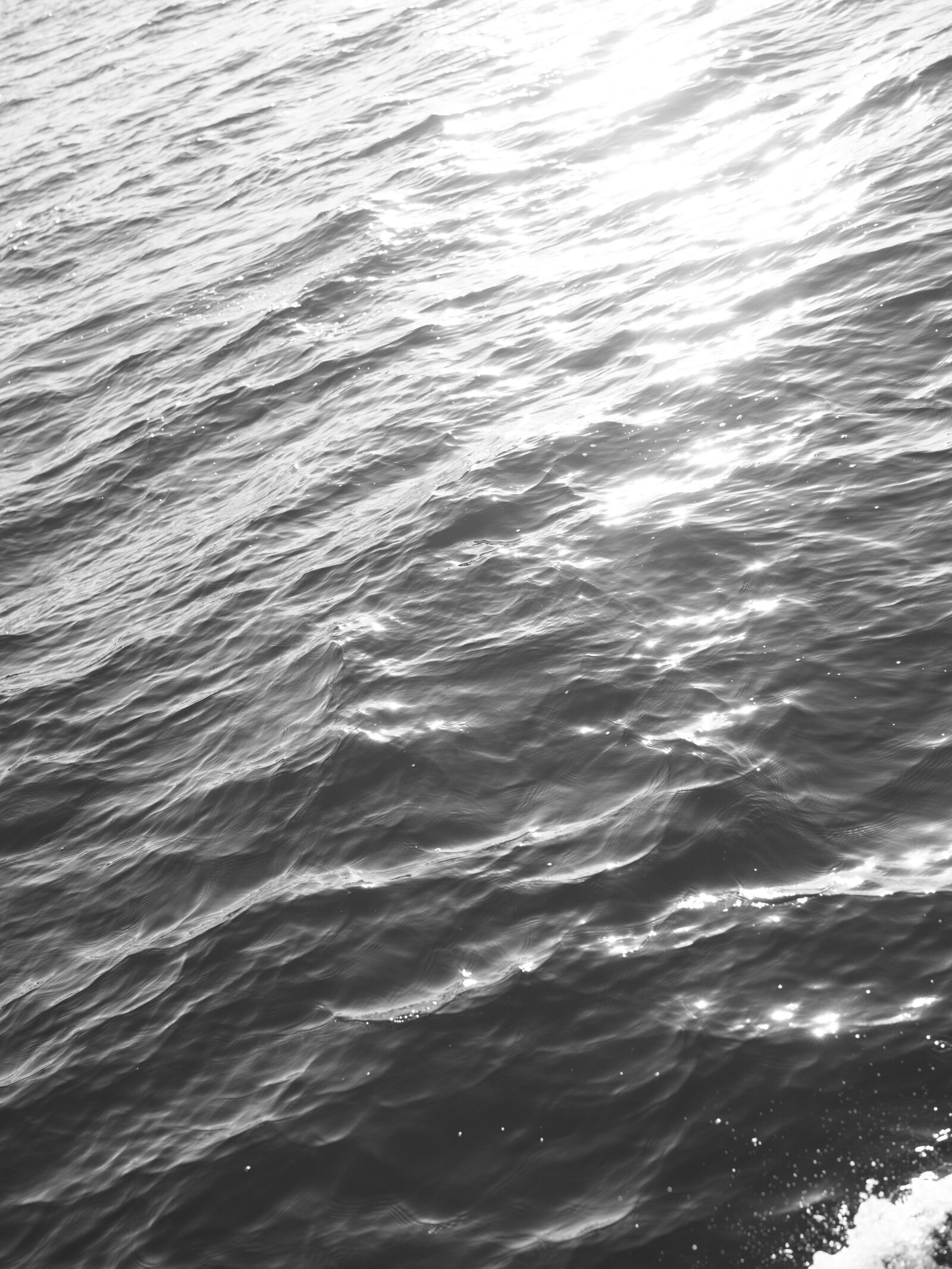 untitled-02577