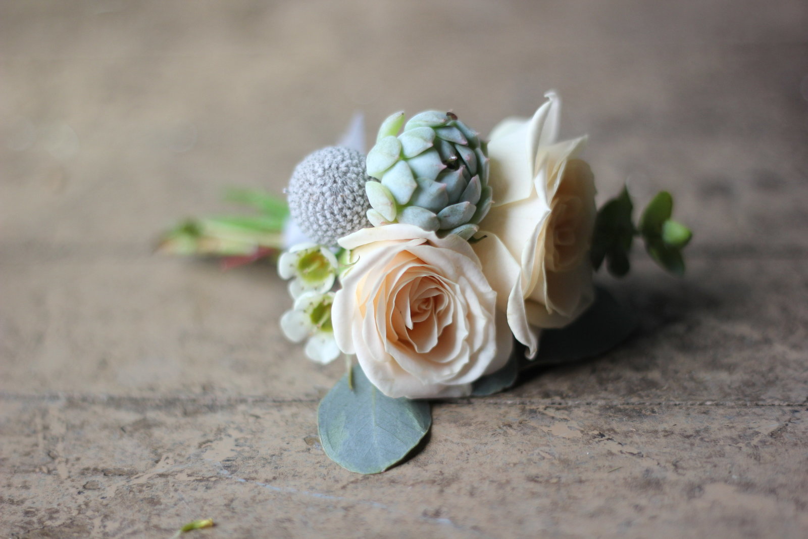 spring-wedding-flowers-succulents-milwaukee-wisconsin-florist