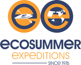 Eco summer logo