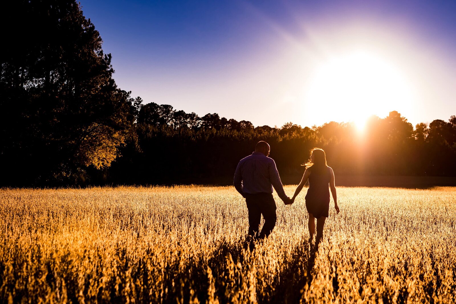 couple walks hand in hand into a wheat field at sunset; they are silhouetted against the sky