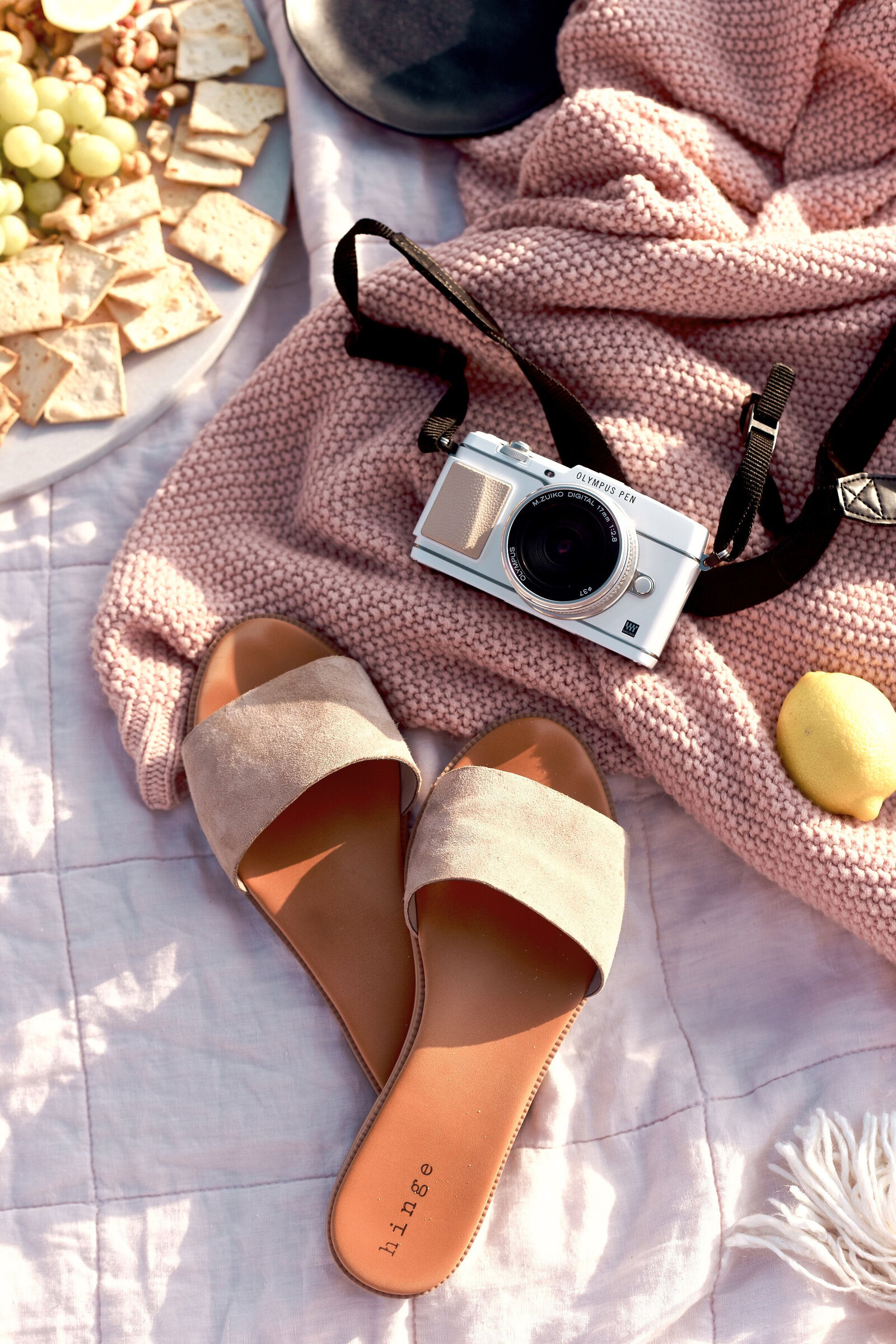 Flat Lay Branding Photographer Southern California Chelsea Loren picnic at the beach with pizza and vintage camera, lifestyle