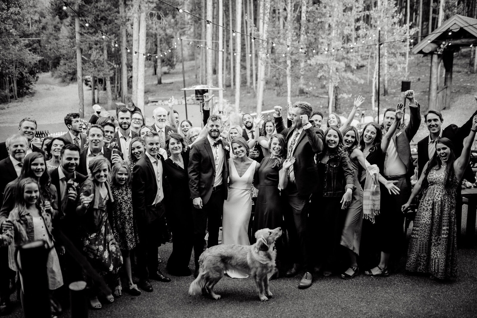 bridal party surrounding the newlyweds with their dog