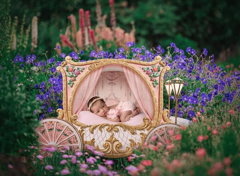 newborn  session girl in princess carriage