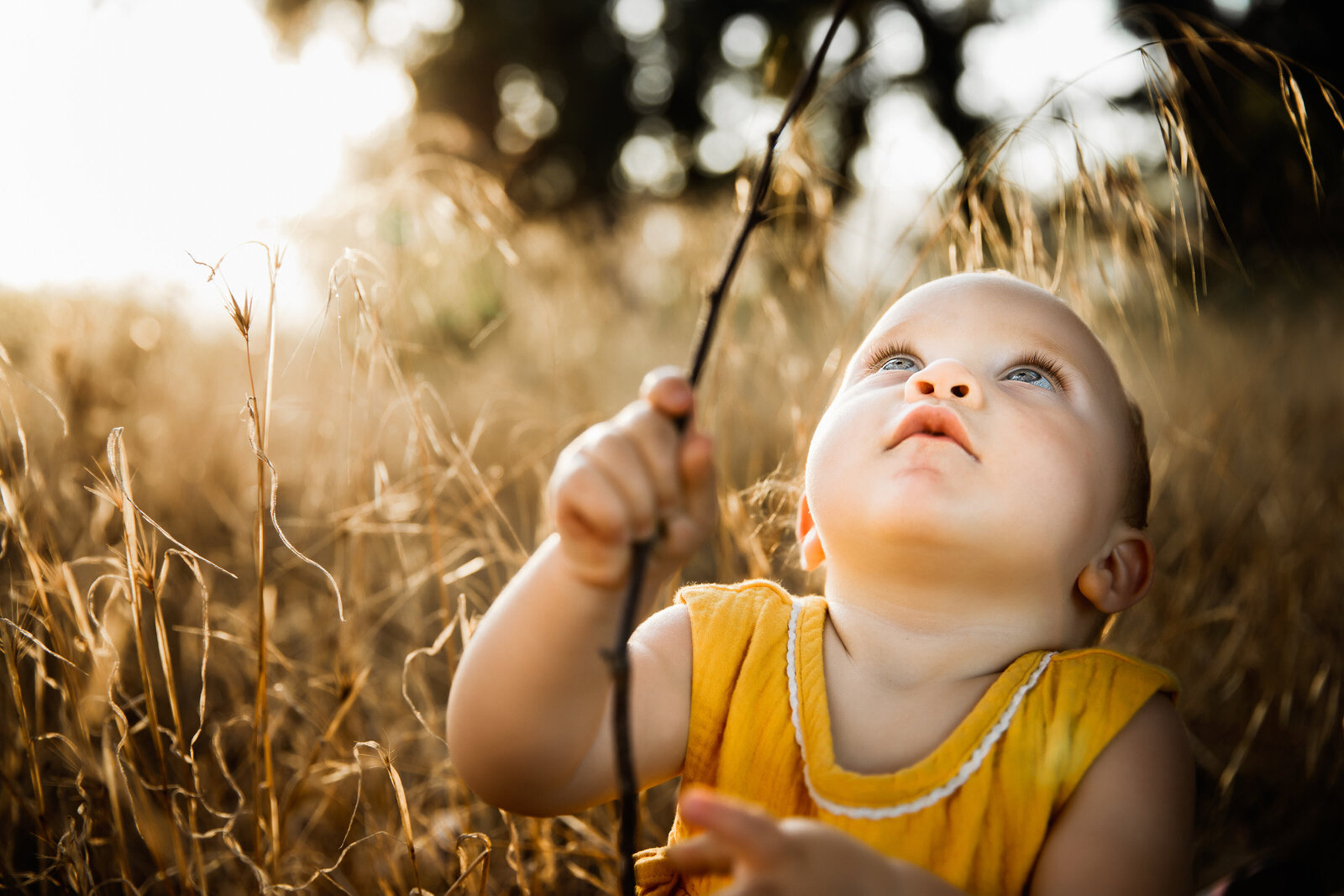 untitled-190810-635-Edit-2Baby-plays-with-stick-golden-hour-ojai-meadow-preserve