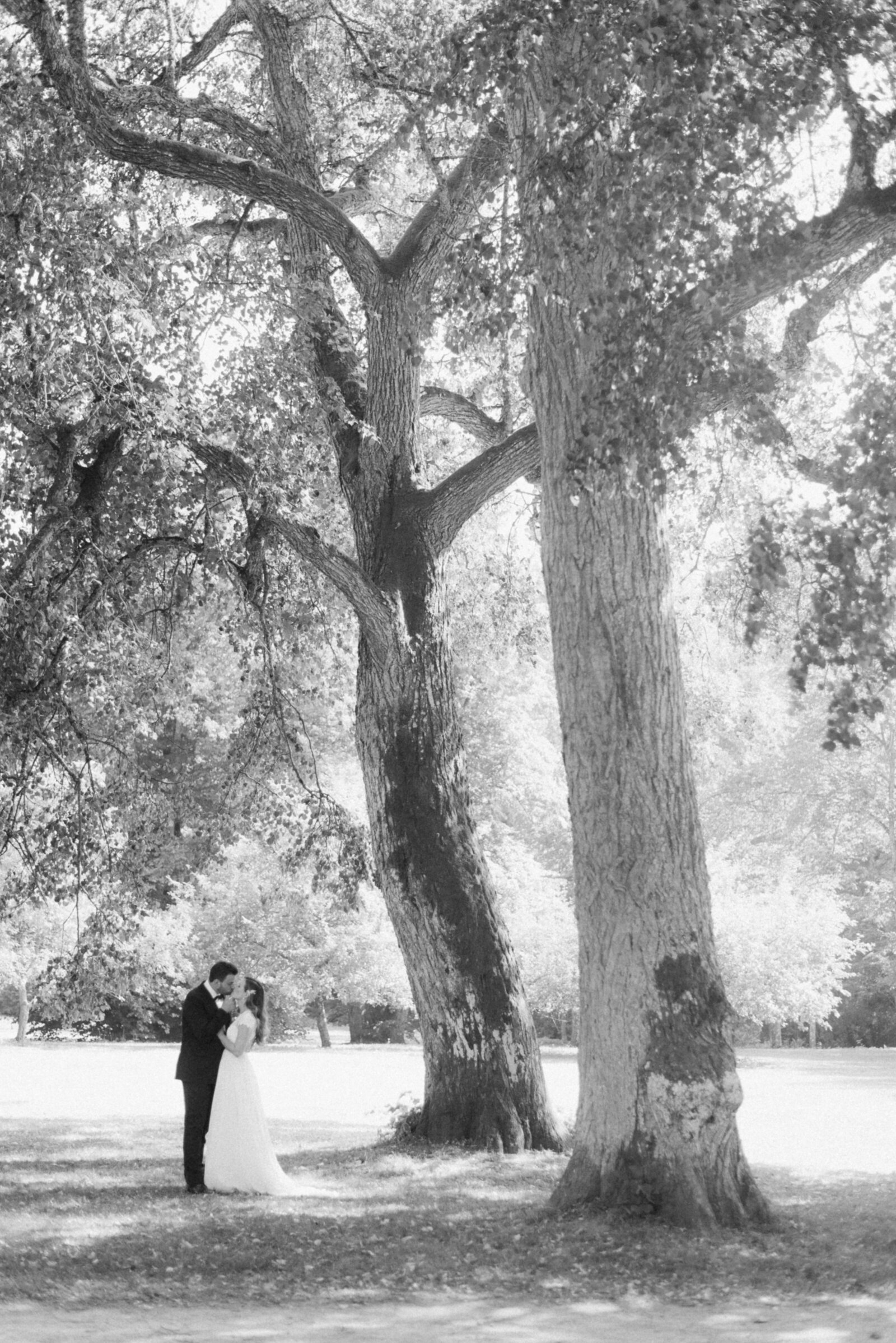 Wedding couple under a big tree in a black and white photograph shot by wedding photographer Hannika Gabrielsson.