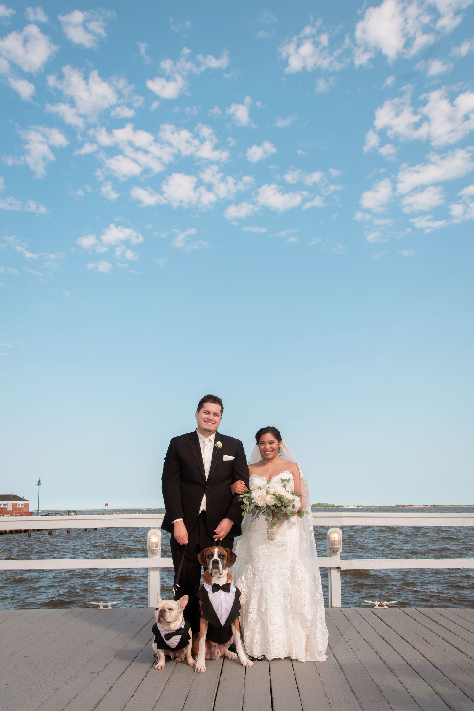 Bride and groom with dogs on dock at Chateau La Mer