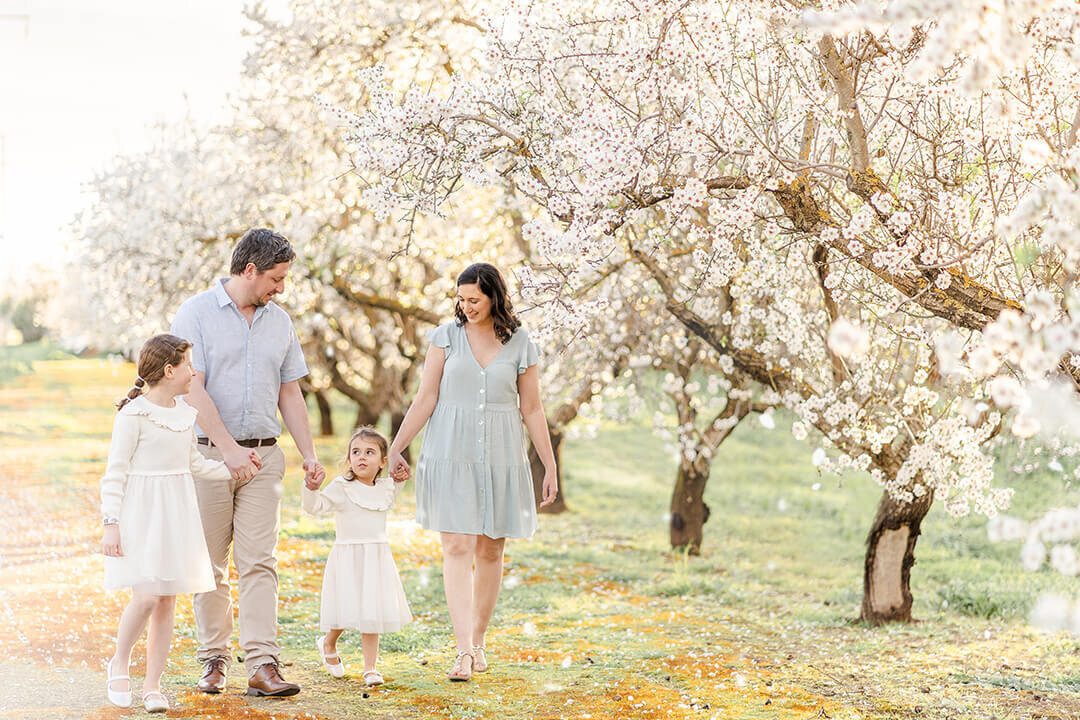 family of 4 walking under almond blossoms during spring time in brisbane