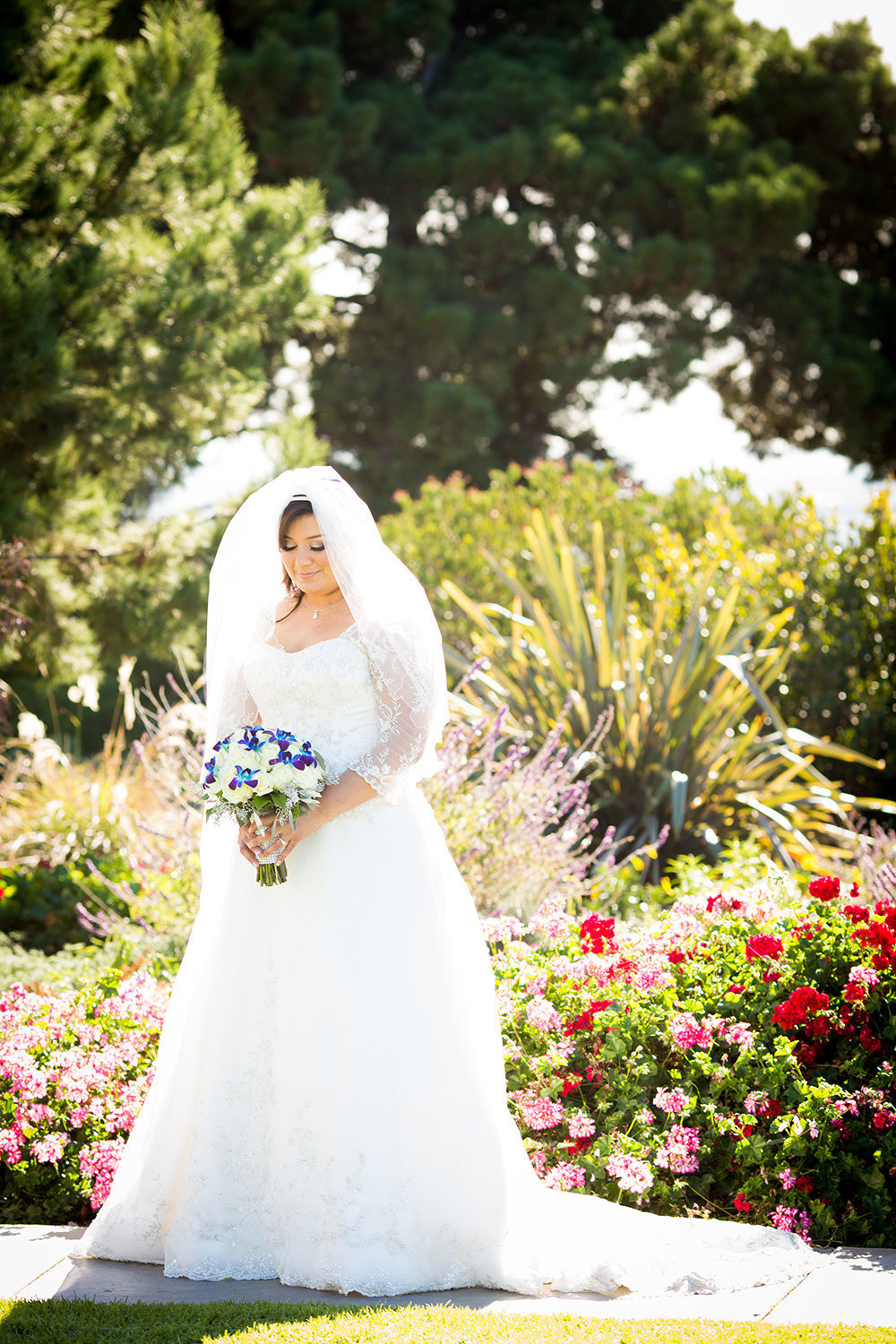 bride at the immaculata