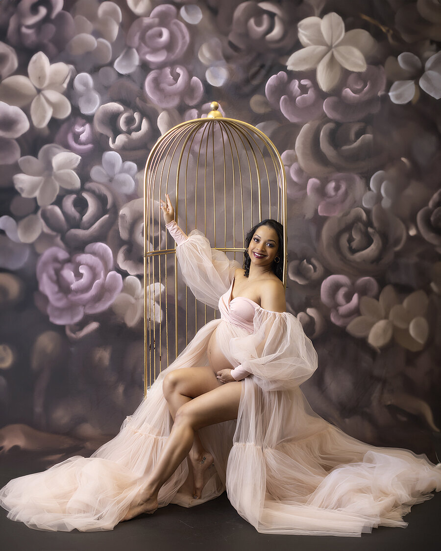 maternity photo in bird cage chair