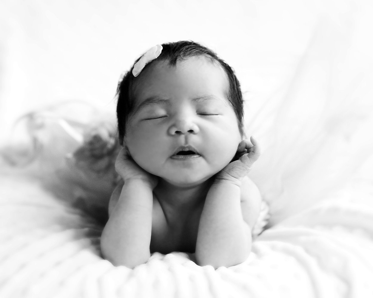 plano-newborn-photographer