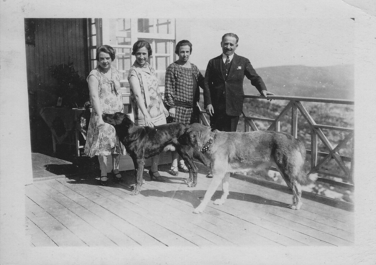Short haired Estrela Mountain Dog Lion and Lioness year 1926