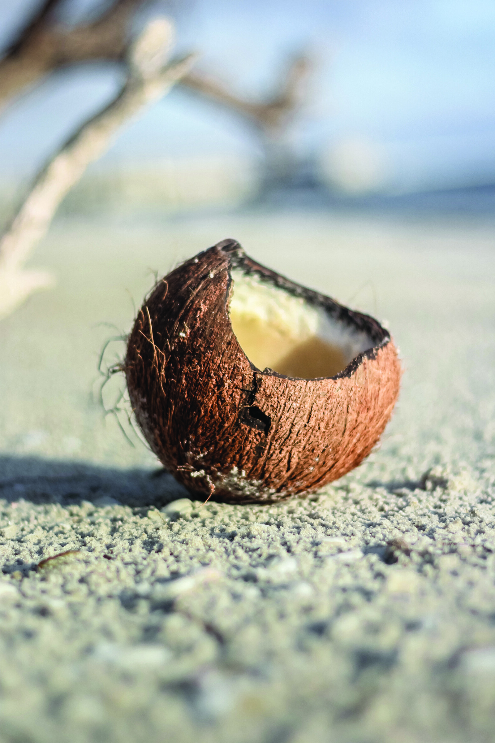 3-2 Ratio-Beach-Coconut