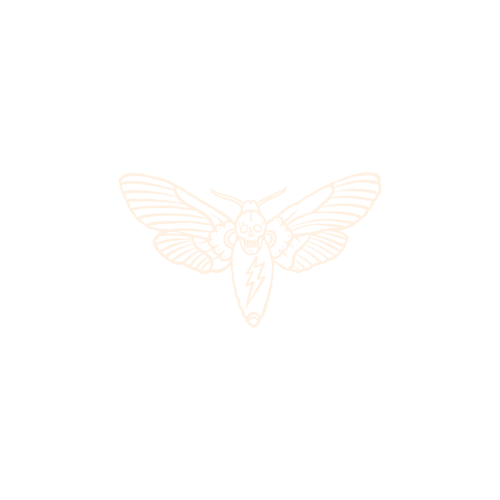 Hand drawn moth logo