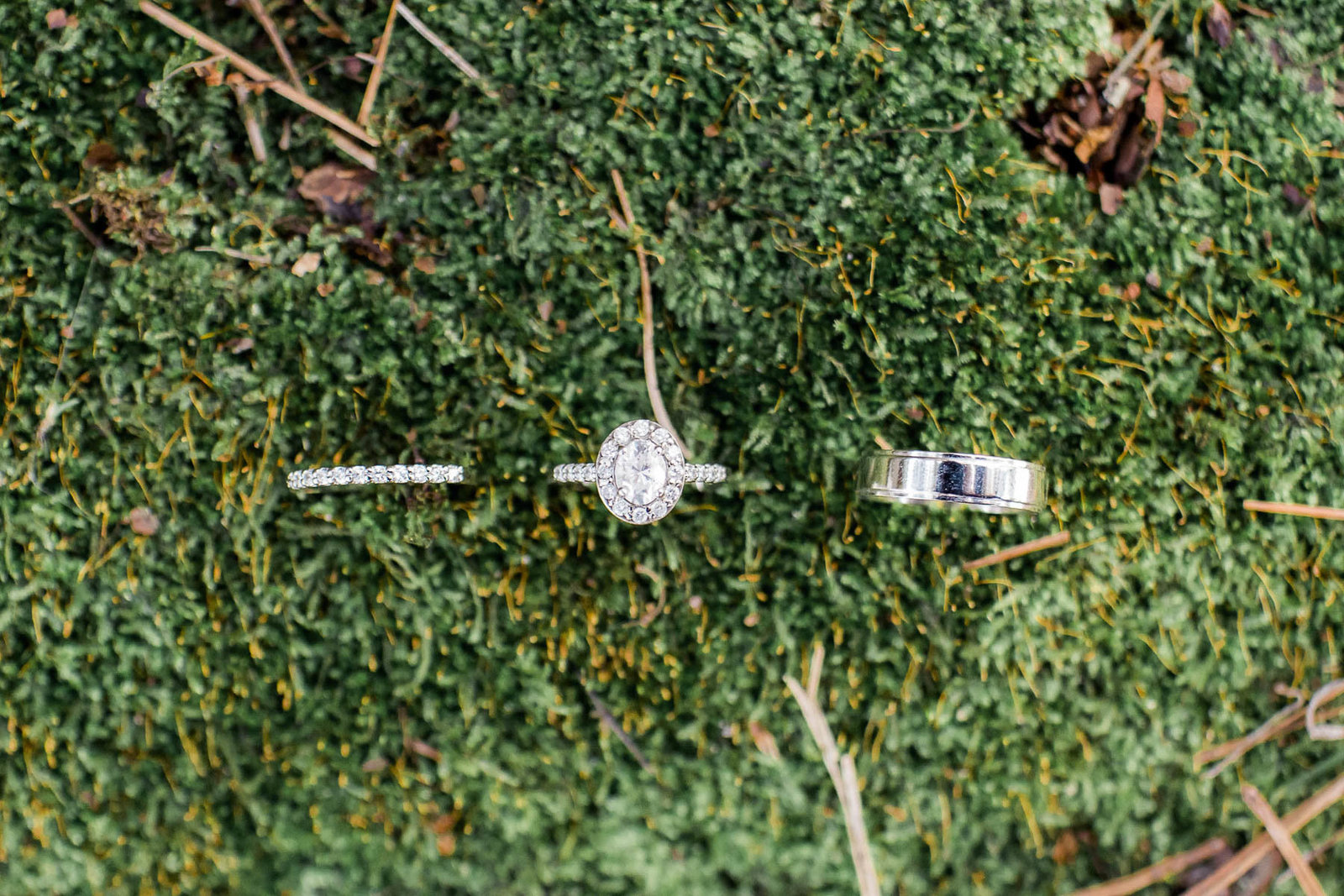 Rings stand in moss, I'on Creek Club, Mt Pleasant, South Carolina. Kate Timbers Photography.