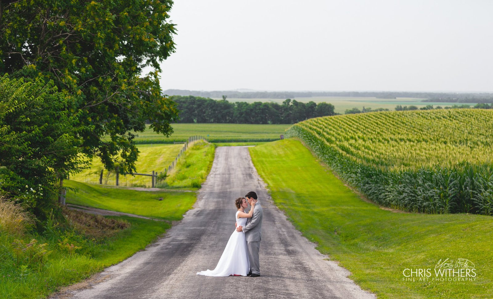 Springfield Illinois Wedding Photographer - Chris Withers Photography (35 of 159)