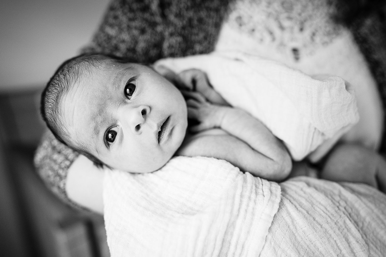 black and white portrait of baby staring into camera from mothers arms