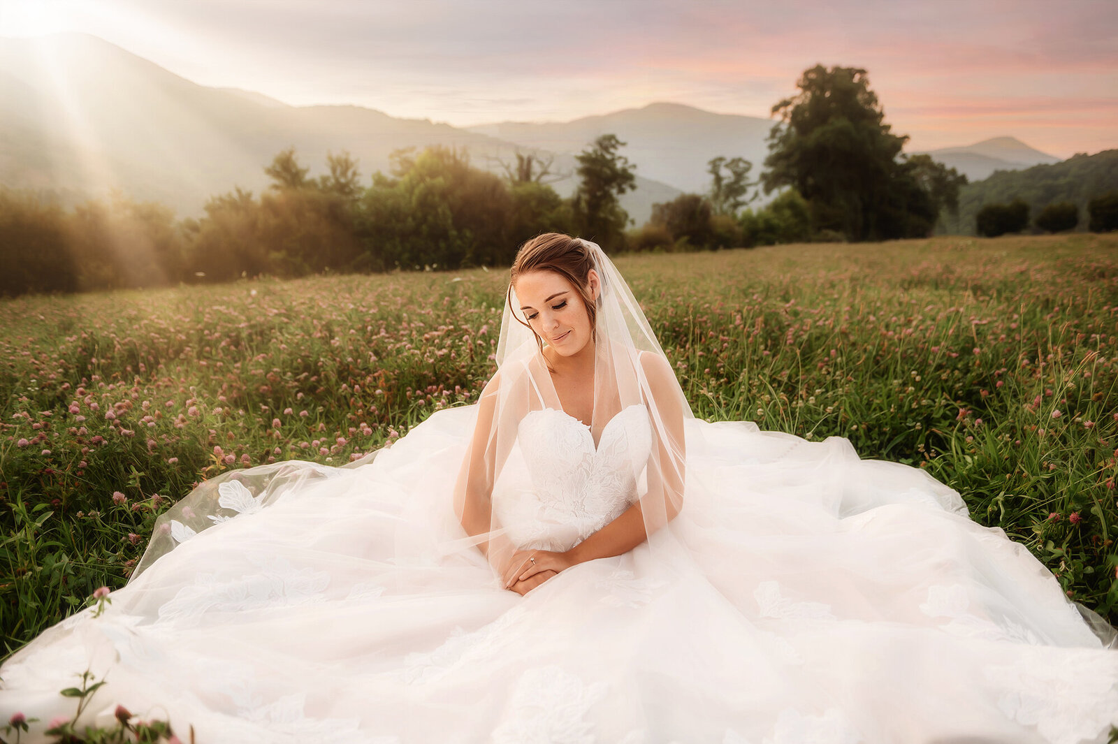 Beautiful Bride poses for Bridal Portraits in a field of wildflowers in Asheville, NC.