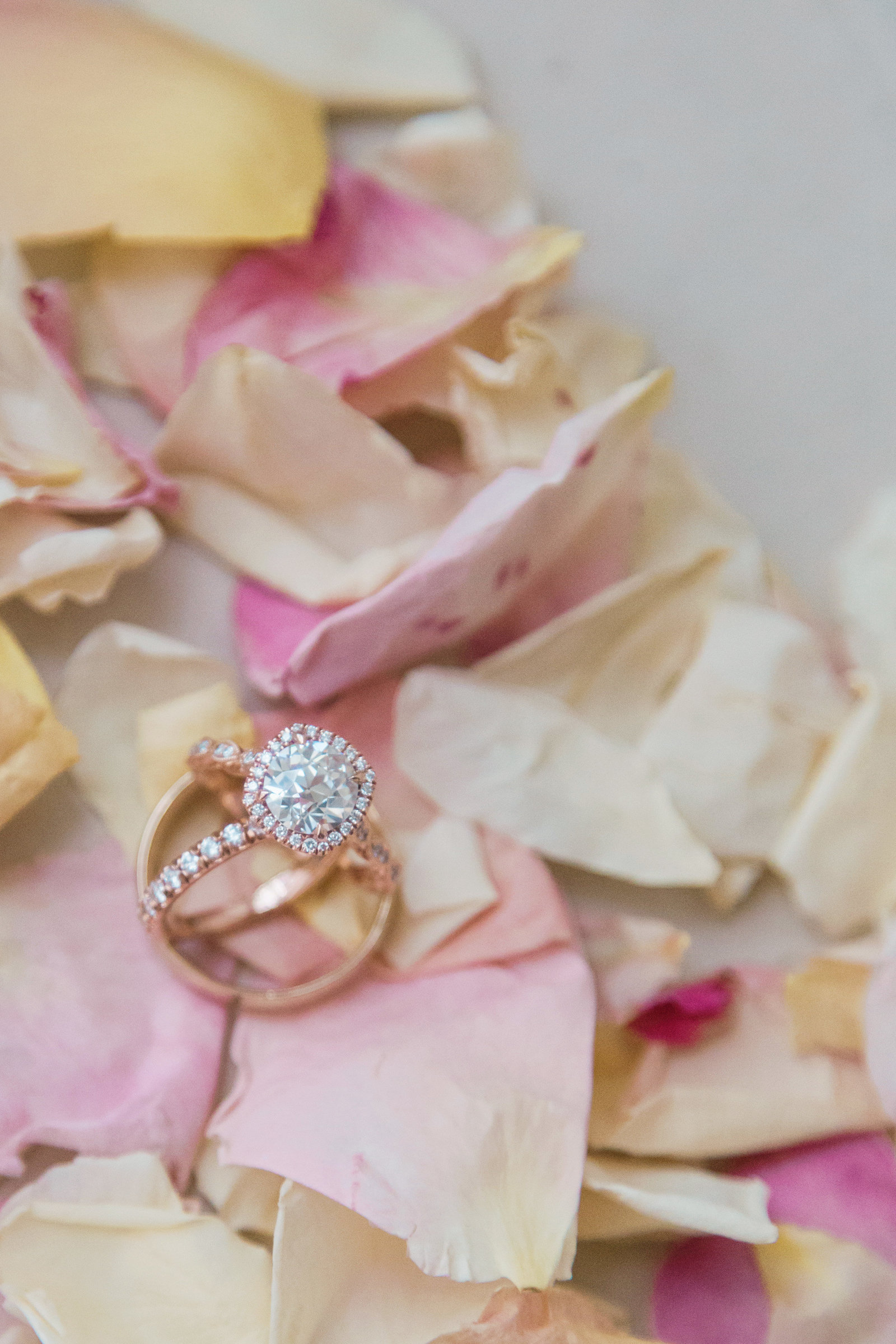 M&EWed0018