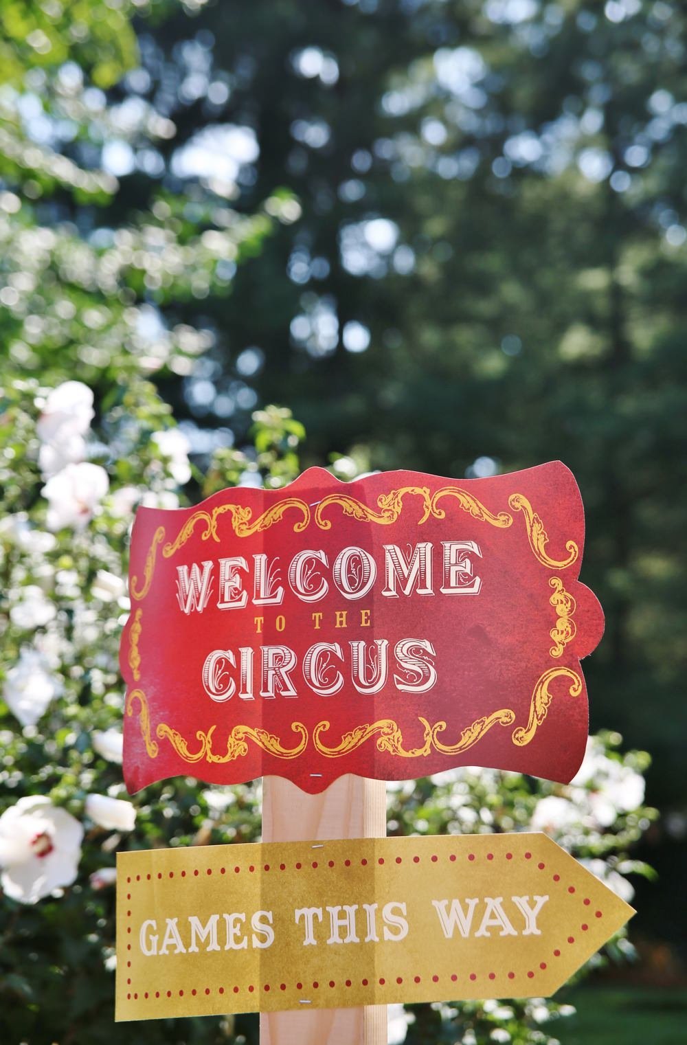 ct_party_planner_circus_birthday_0017