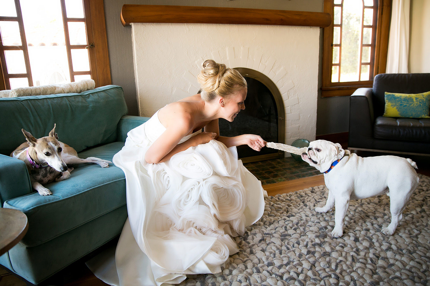 Cute moment between bride and her english bulldog.