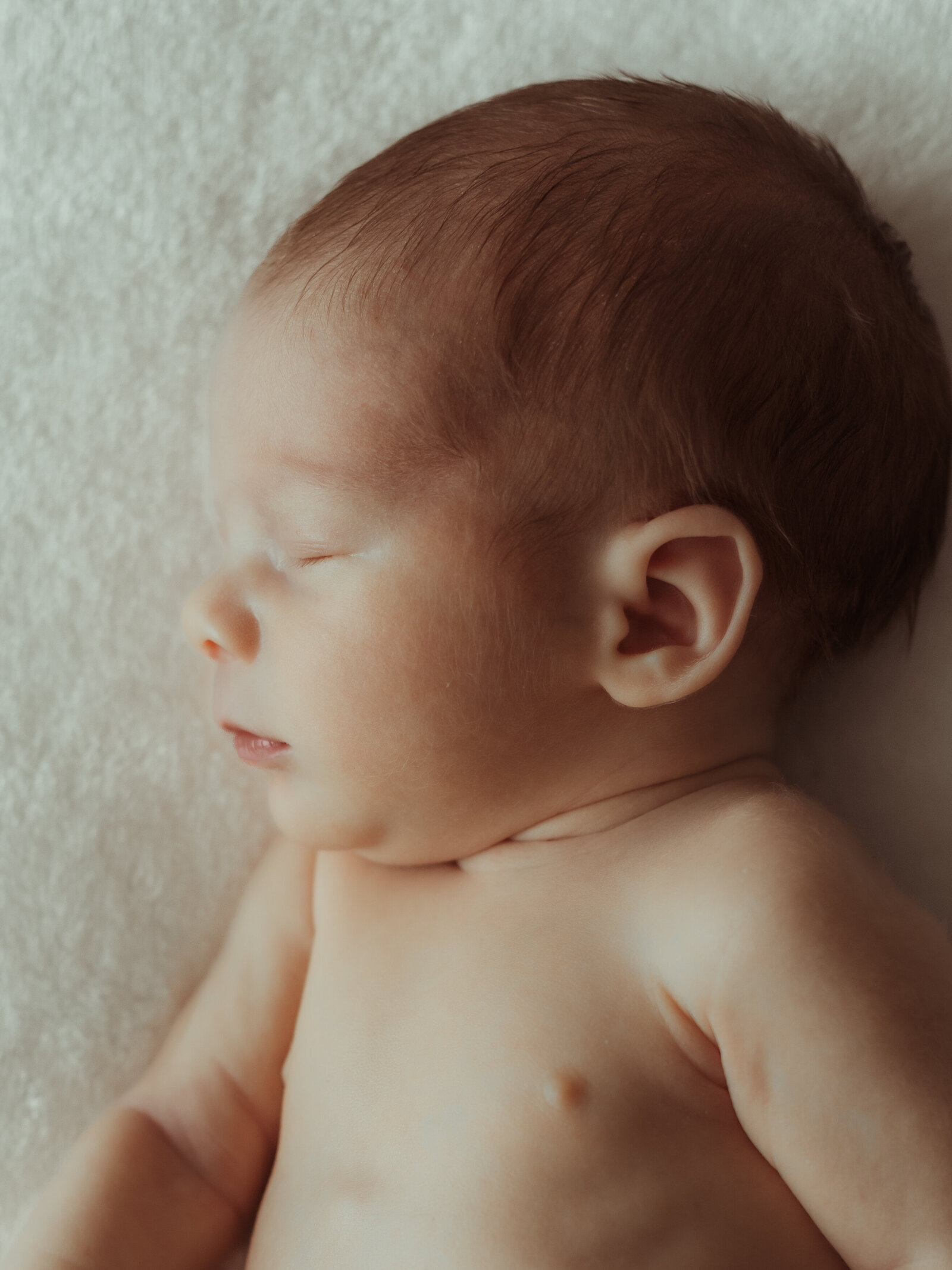 temecula-newborn-photographer (8)