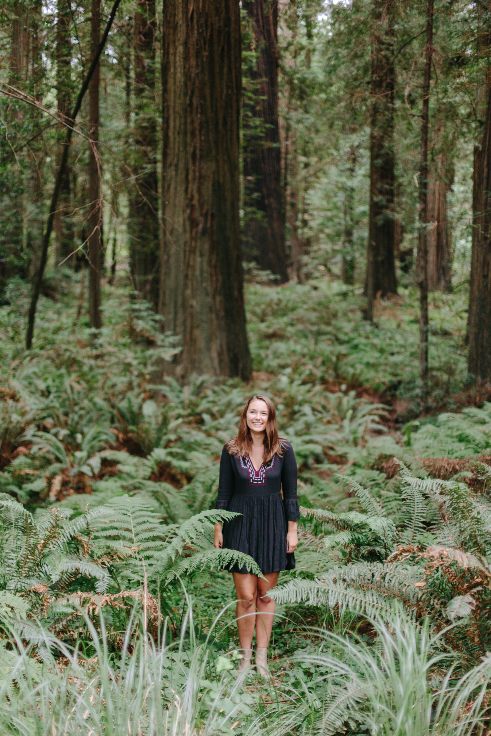 Redwood National Park Avenue of the Giants Engagement Session -7384