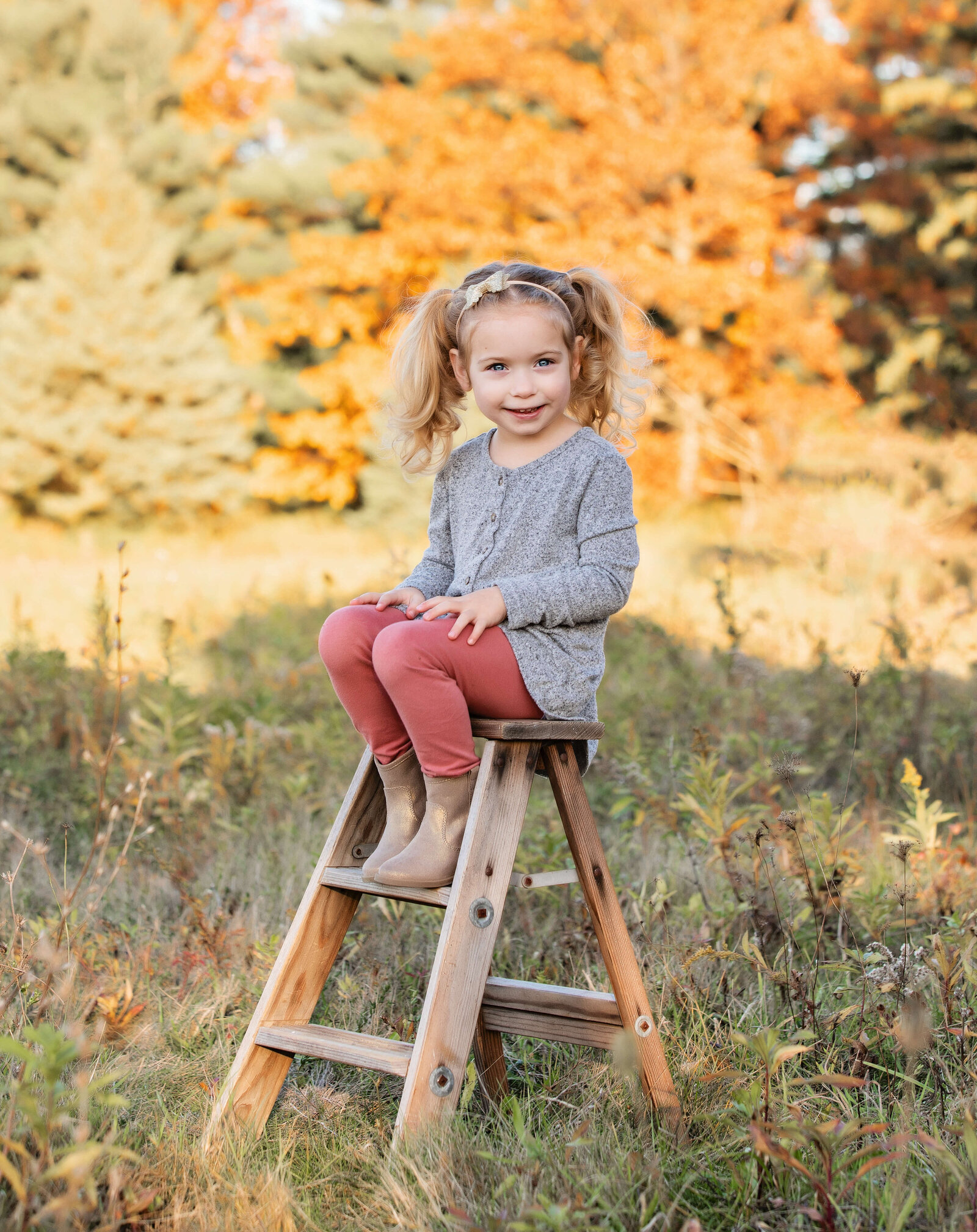 Portrait of a little girl sitting on a ladder in an Erie Pa field