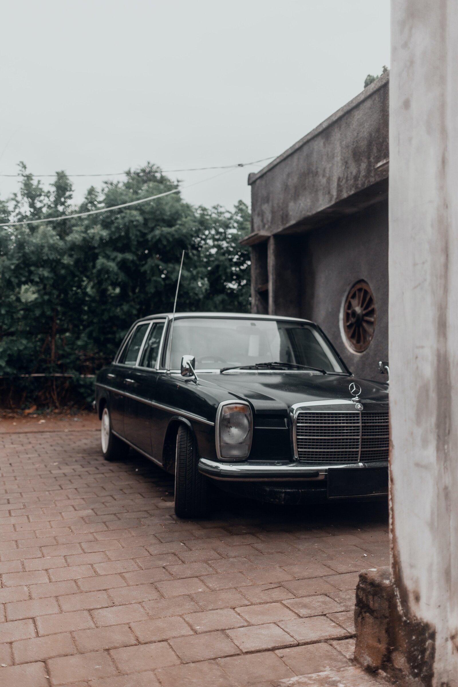 pexels-julia-volk-5769387
