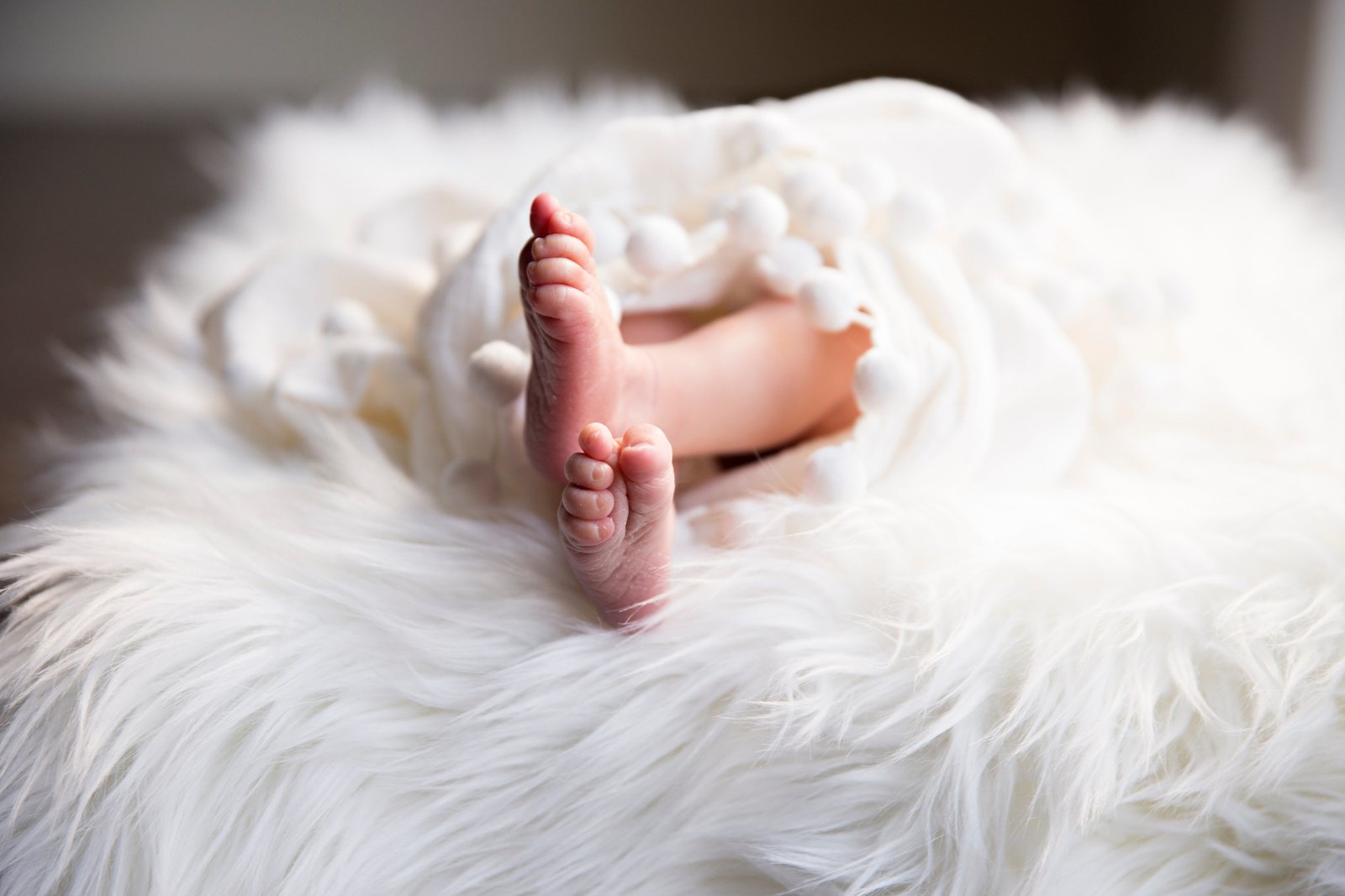 irina-murza-1210960-unsplash