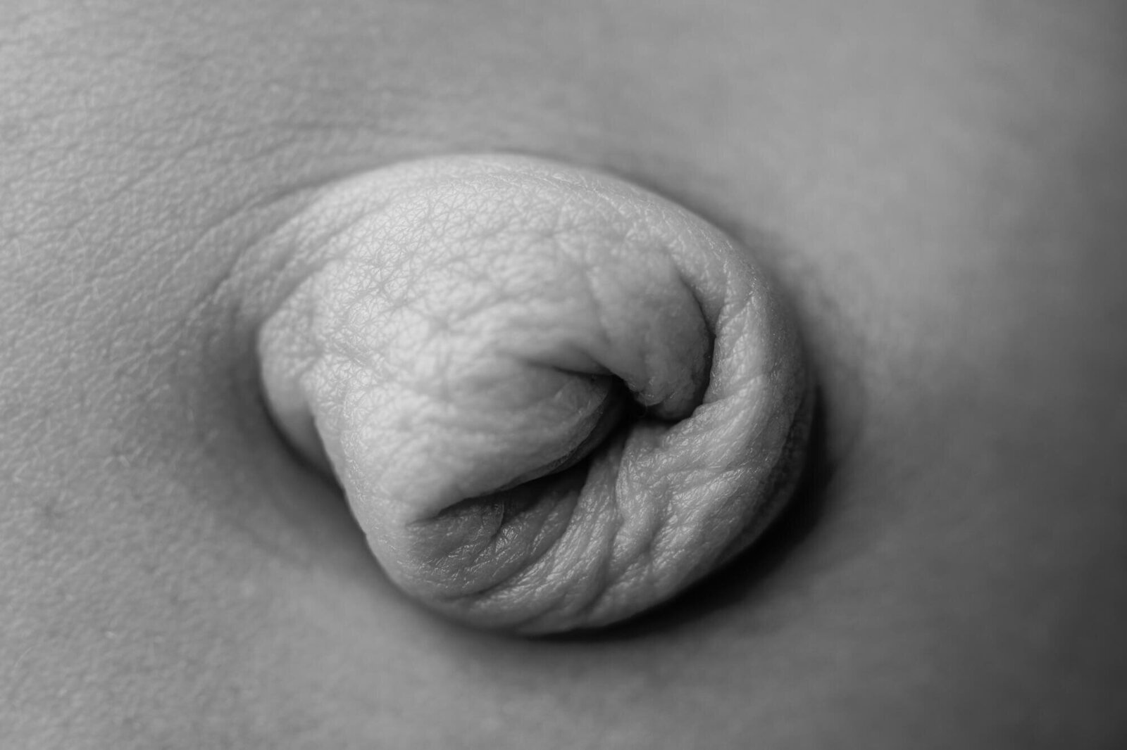 macro photograph of newborn belly button