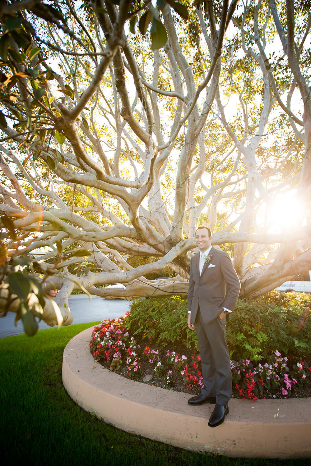 Classy groom portrait in front of  a stunning tree
