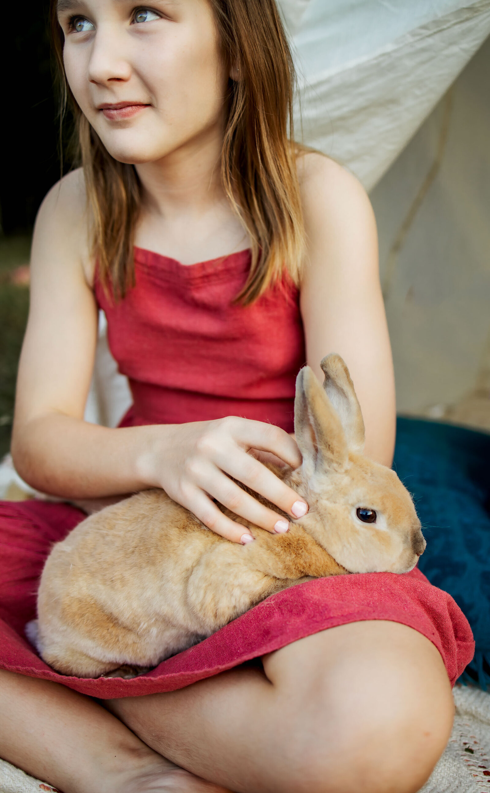 pet rabbit in a girl's lap