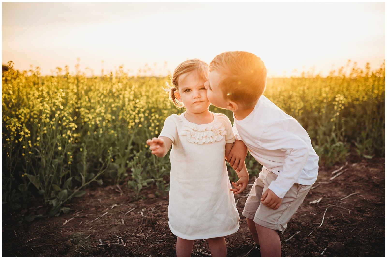 big brother kissing baby sister in field at sunset Emily Ann Photography Seattle Family Photographer