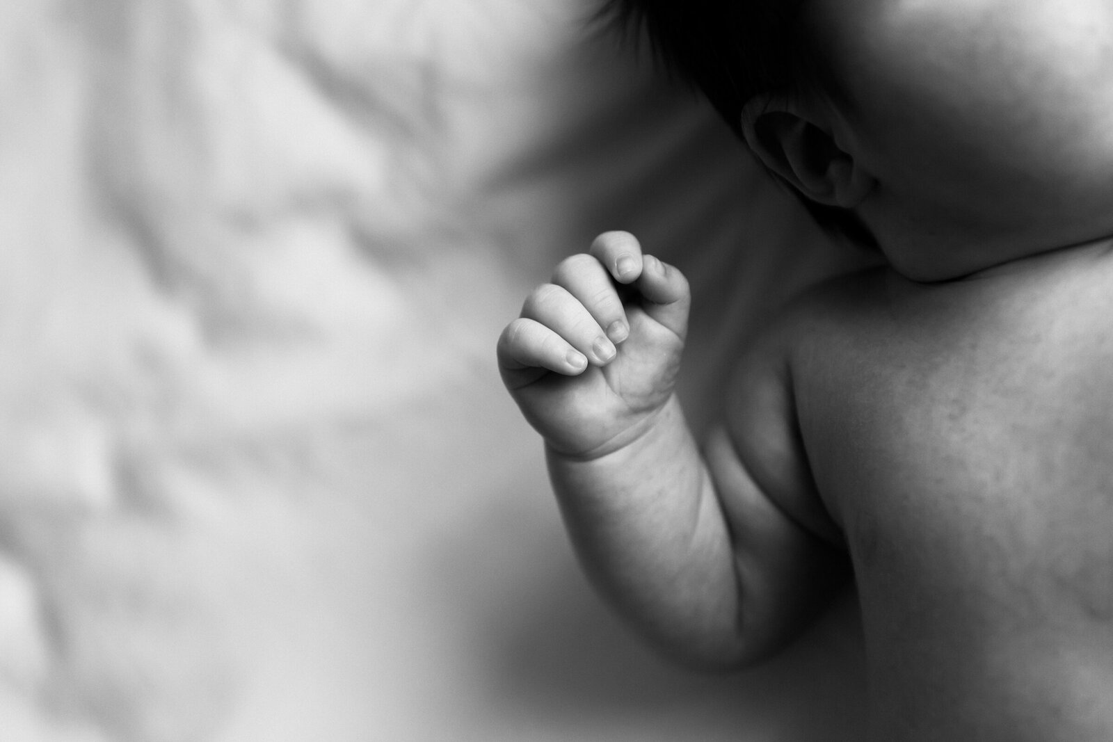 closeup of newborn baby's hand
