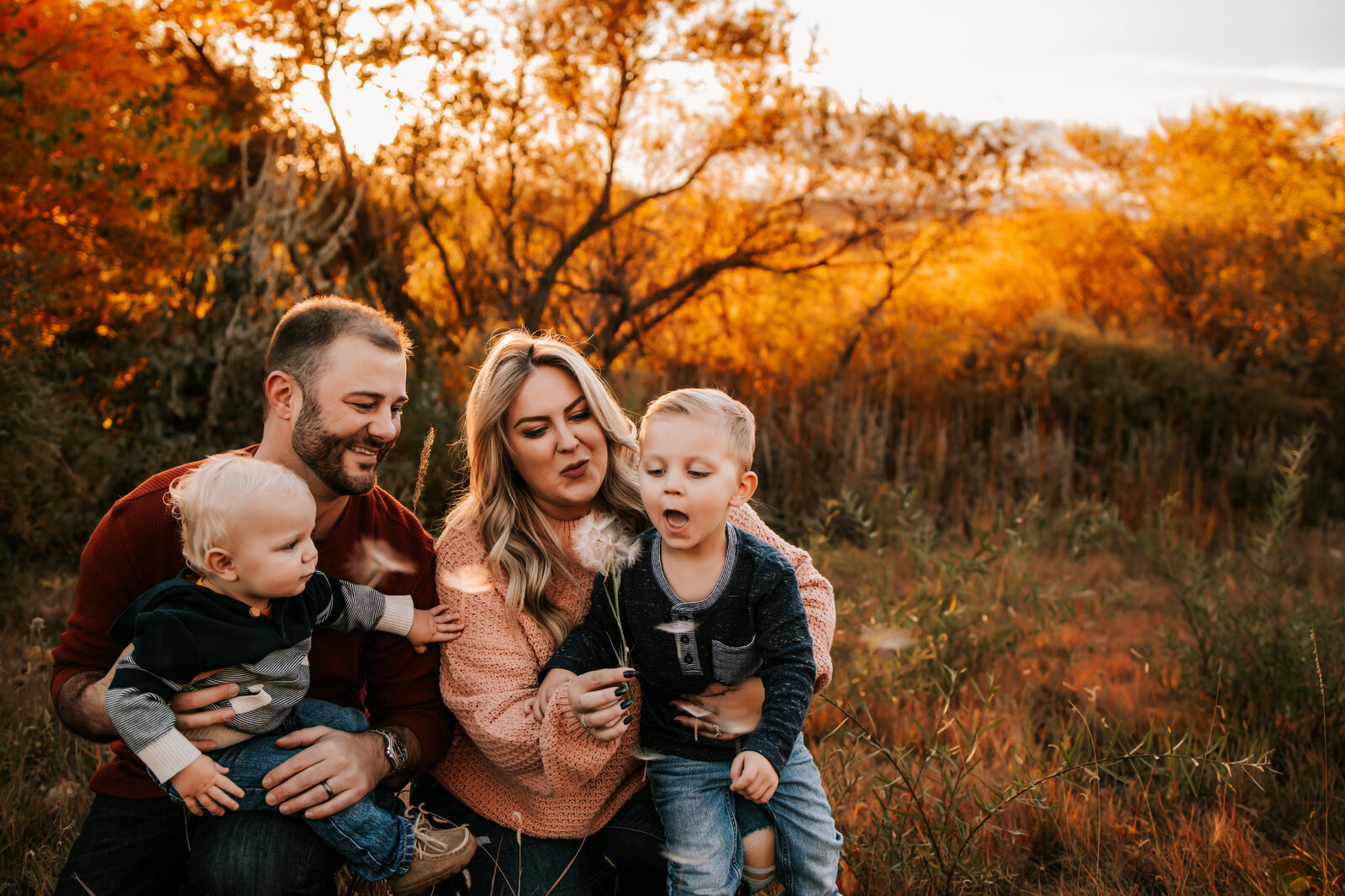 mom and dad with two young toddler boys blowing a flower during golden hour photos