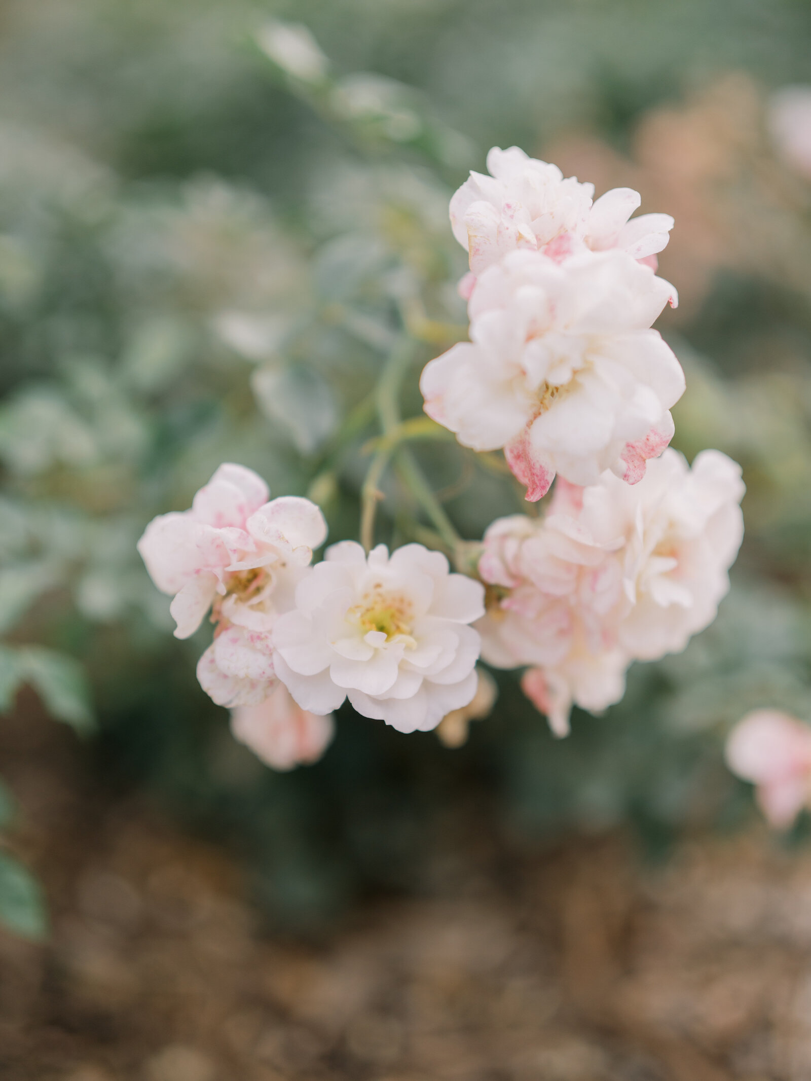 untitled-07590-Edit