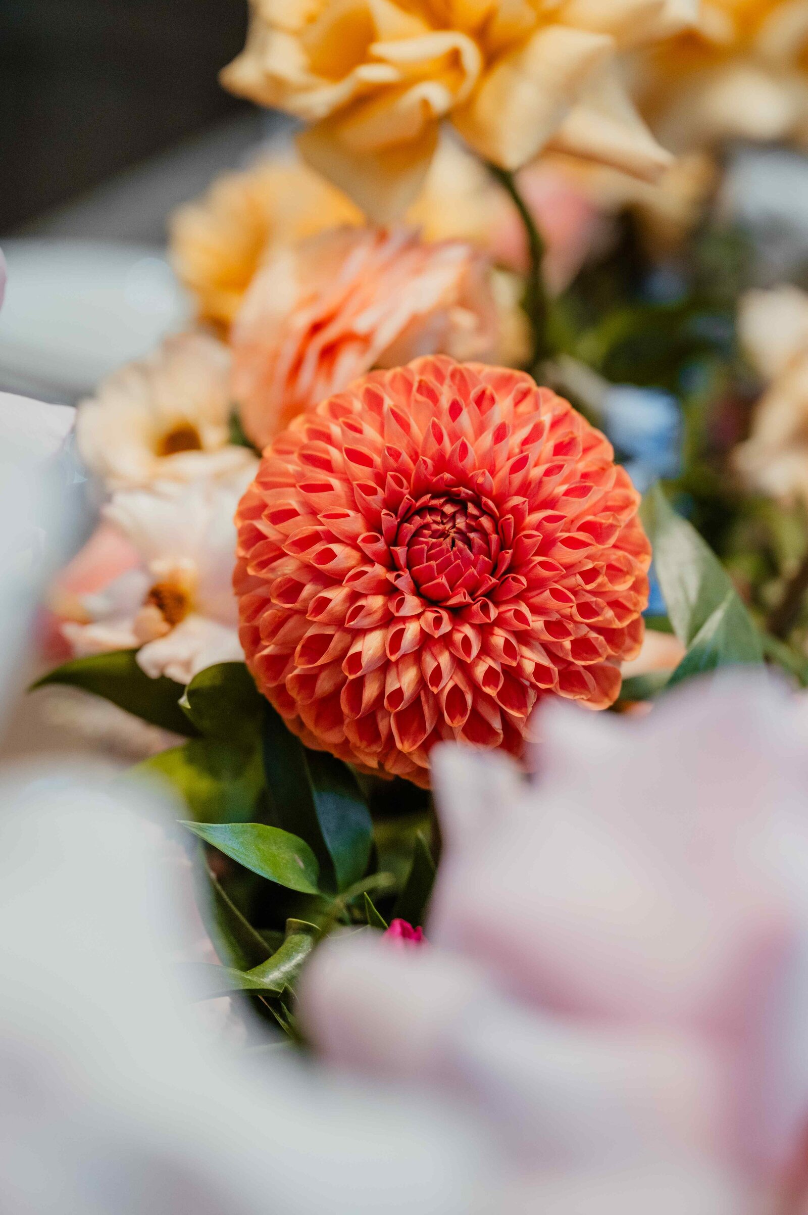 GreatNorthernEscapesVendorEvent-3