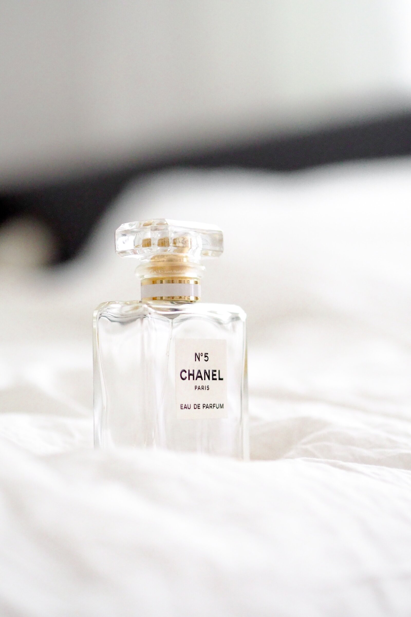 laura-chouette-OPdaLcnkrtY-unsplash