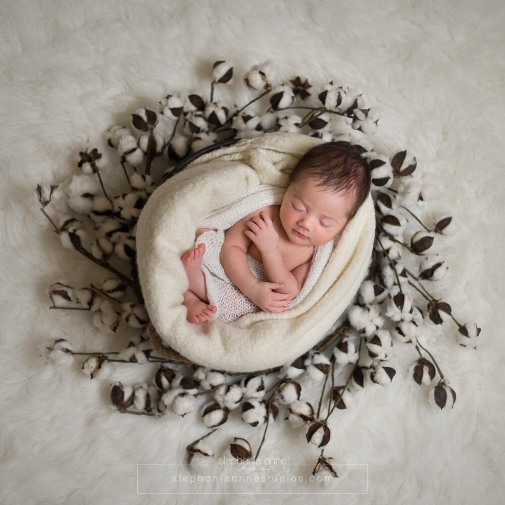Austin-Newborn-Photographer--4
