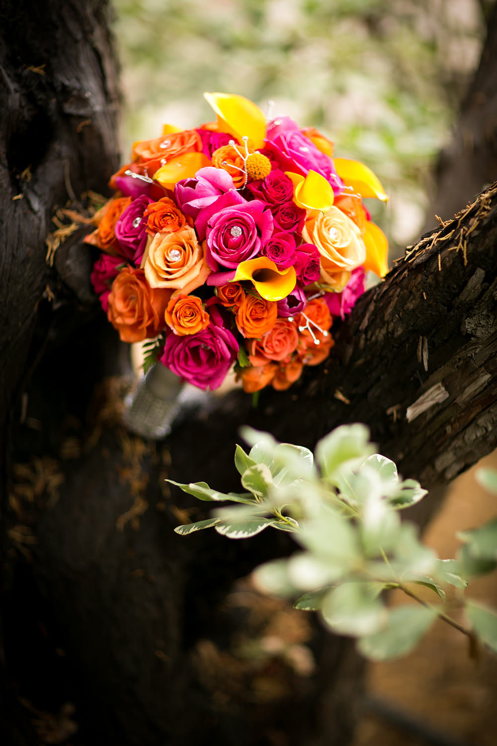 stunning bouquet image at leoness cellars