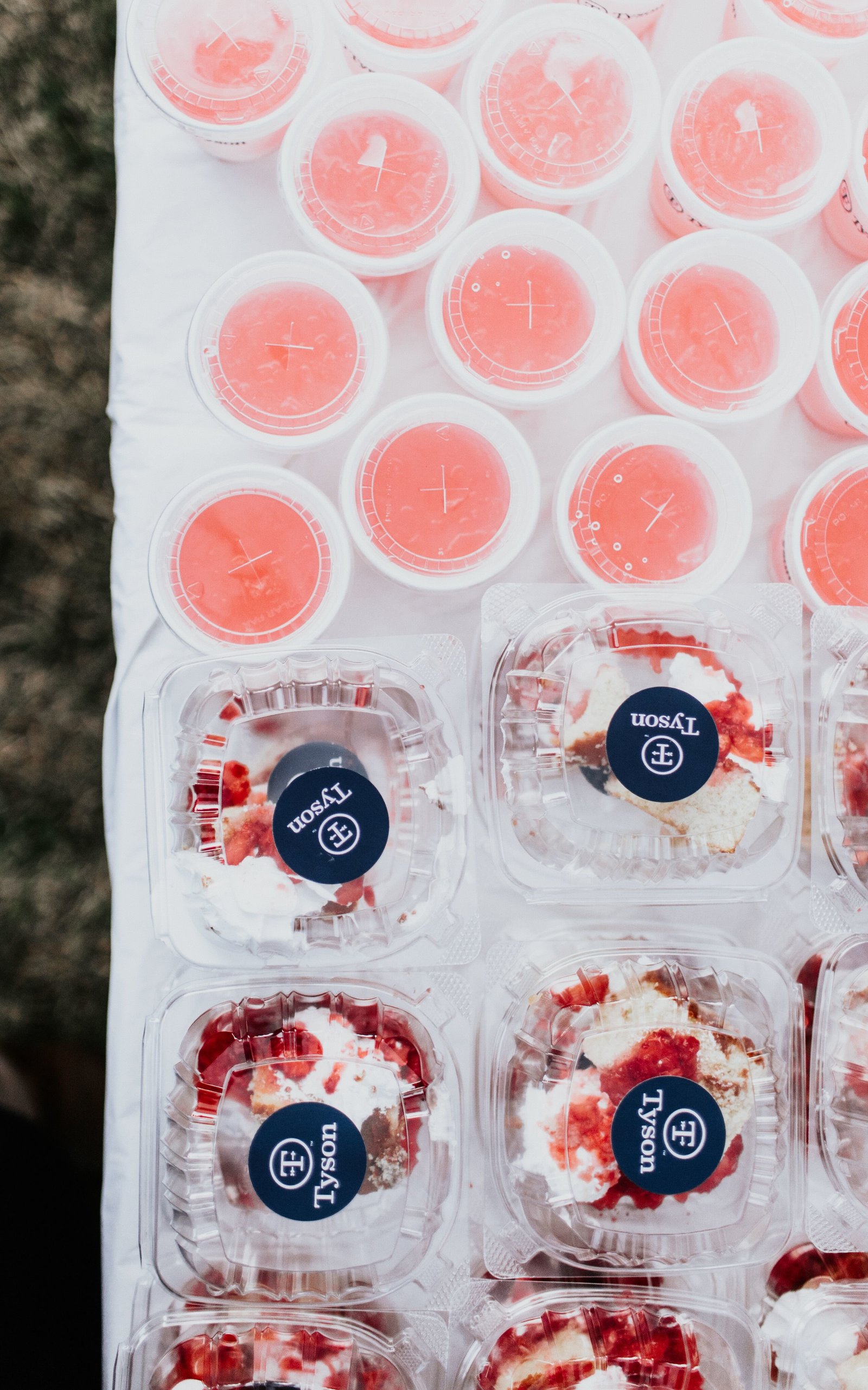 2019 West Tennessee Strawberry Festival - Shortcake in the park - 39