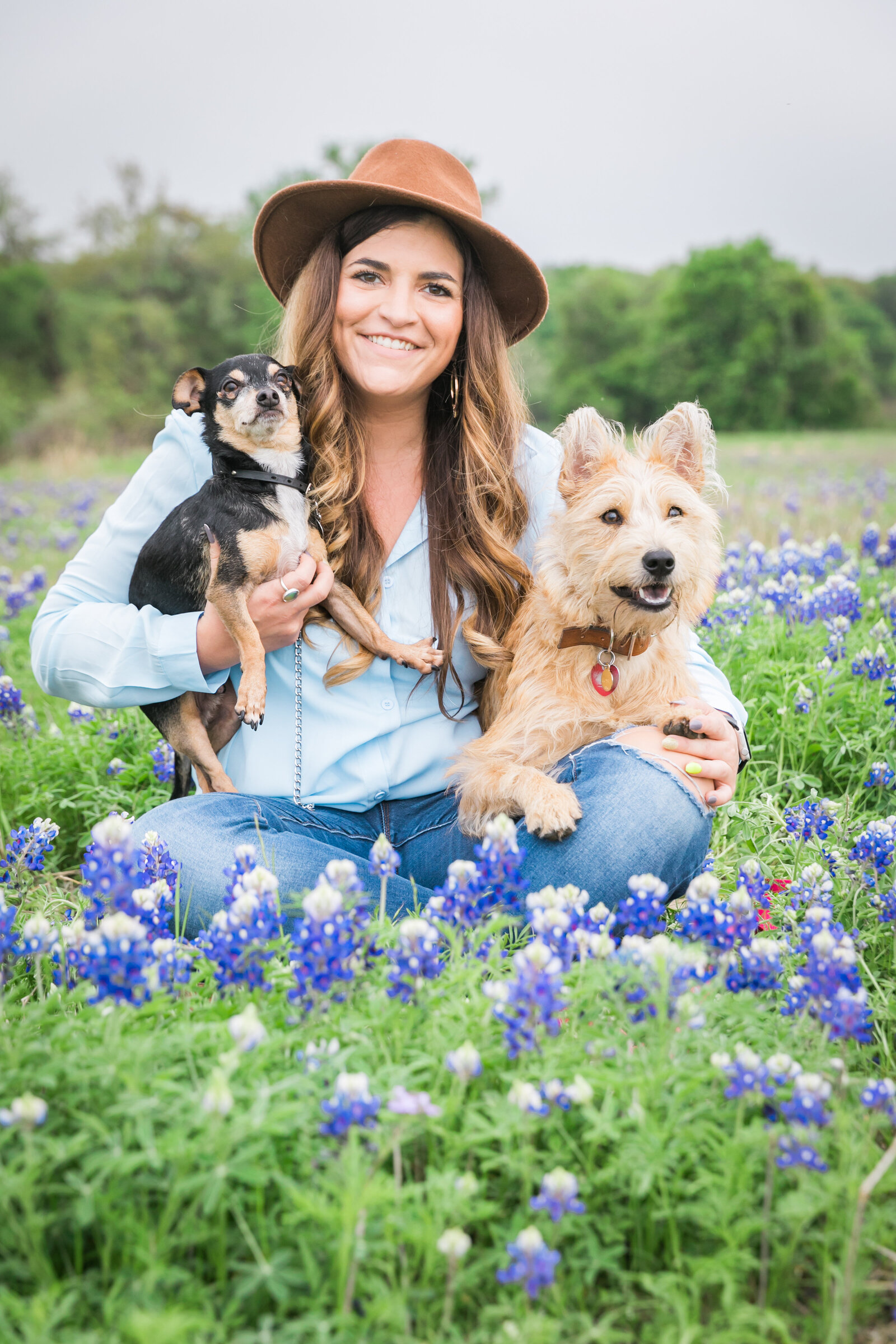 Austin Family Photographer, Tiffany Chapman Photography woman with dogs in bluebonnets photo