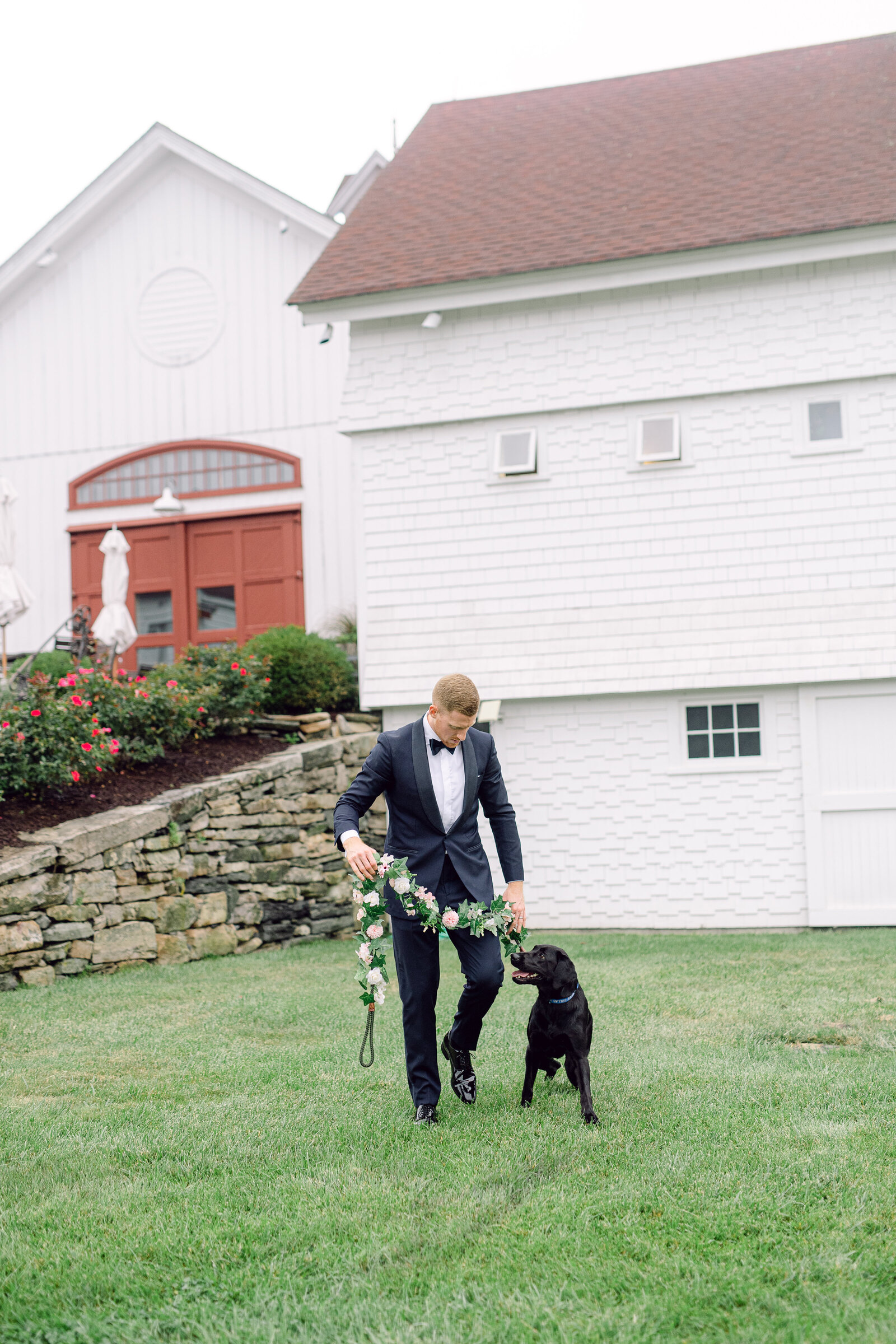 wedding_dog_7